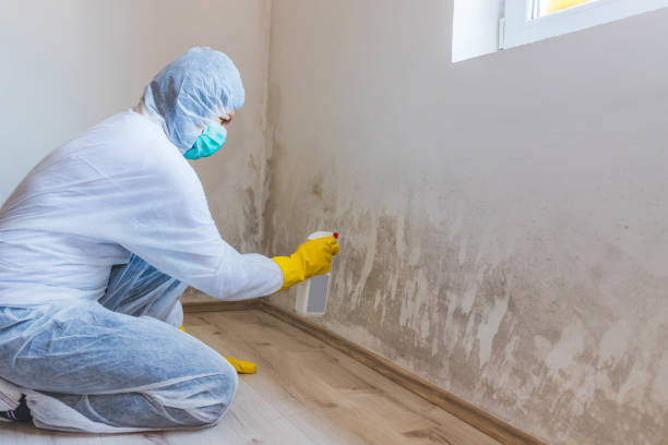 Hvac And Air Duct Mold Remediation inspection of HVAC system in Sachse